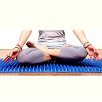 AcuPro Yoga Mat - Blue